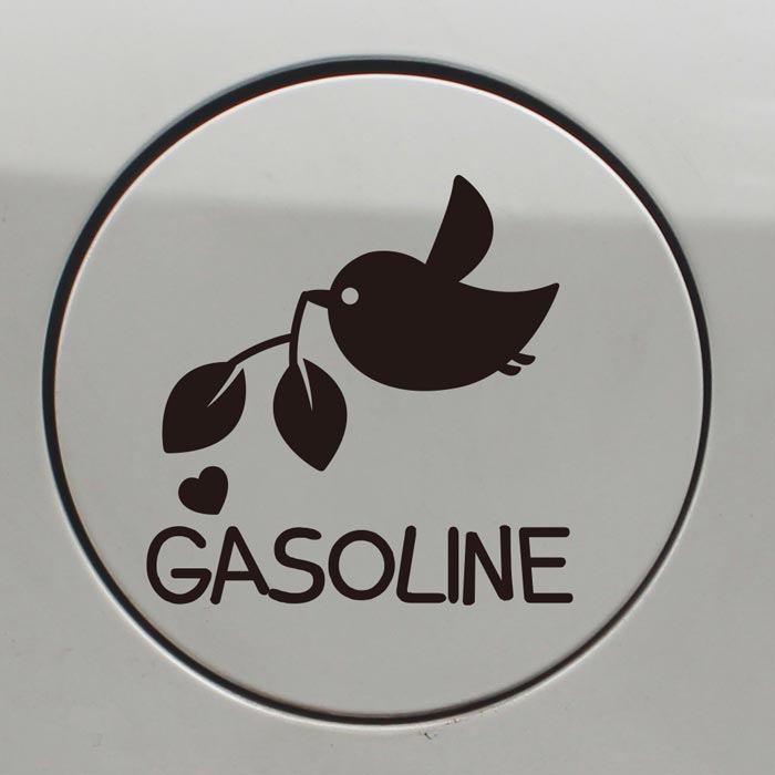 [LSC-640]행복한 인생 가솔린